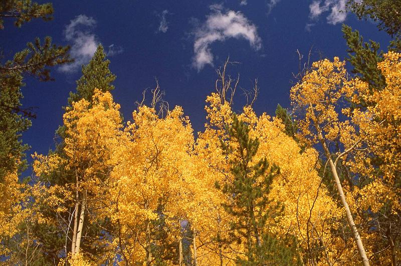 1980-09 Rocky Mtn NP 007.jpg